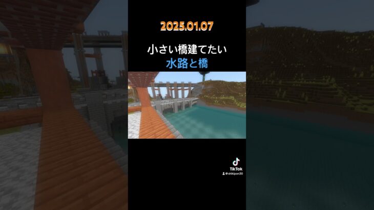 #マイクラ #マインクラフト #建築 #和風建築 #minecraft #巨大建築 #配信切り抜き