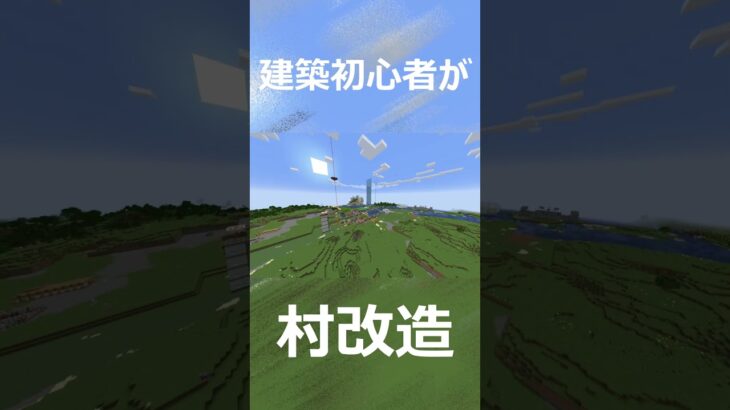 【建築初心者が】村を改造した結果・・・？？ #マインクラフト #れら #minecraft