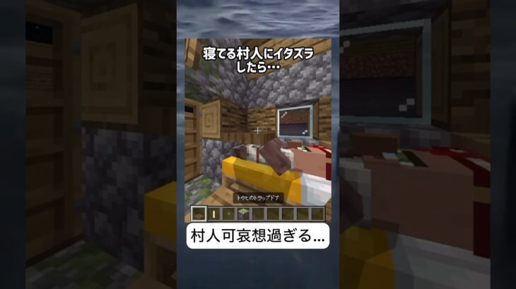 寝てる村人にイタズラしてみた　#マイクラ #minecraft