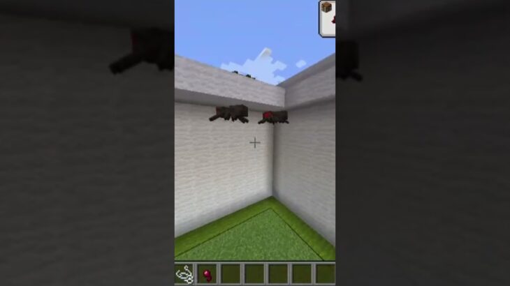 クモの糸はいくつ？ #マインクラフト #おすすめにのりたい #minecraft #マイクラ #shorts