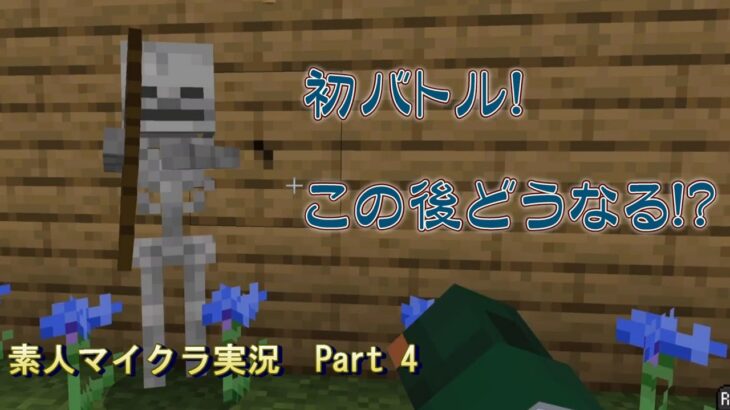 【minecraft】家の前の整地を開始！　スケルトンに遭遇！！　素人マイクラ実況Part 4