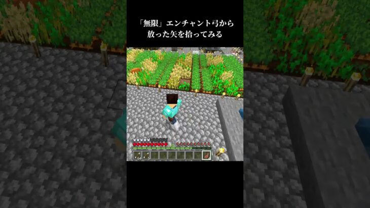 「無限」エンチャント弓で撃った矢を拾う #マイクラ #マインクラフト #minecraftmultiplayersurvival