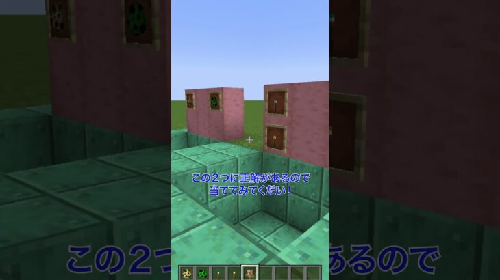 何が嫌い⁉【マイクラ】#noface#マイクラ #マインクラフト#minecraft #shorts #short