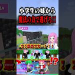 魔法の力を使ってチート逃走中！小学生の妹から逃げきれ！！！#shorts 【まいくら  / マインクラフト】