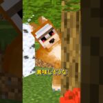 最強赤ずきんちゃん #shorts #マイクラ