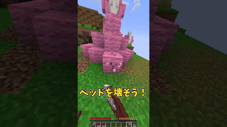 【マイクラ】ベッドを破壊するときの違い#shorts