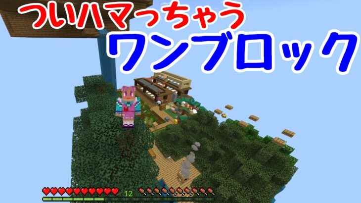 マイクラでワンブロック。建築してたらブロックを掘る暇がない！（いりもやのいつも元気なマイクラ配信）