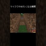 マイクラやめたくなる瞬間