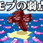 モブの弱点が本当か検証するマインクラフト【まいくら・マインクラフト】