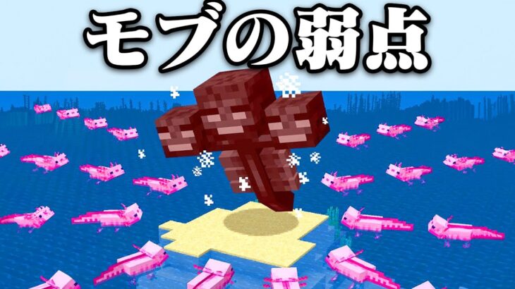 モブの弱点が本当か検証するマインクラフト【まいくら・マインクラフト】