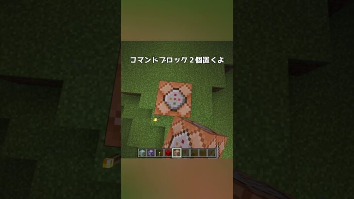 手に持った松明が光る！ #コマンド紹介 #マインクラフト #統合版