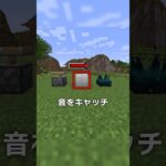 このアプデみんなは来ると思うかな？【マイクラ豆知識 解説 裏技】