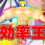 選んで掘れ！効率王選手権【マイクラ】