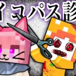 頭がおかしいサイコパステスト☠️マイクラ(#ぴこみんず)あなたは何個あてはまる？