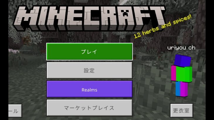 【マイクラ】頑張って家を作りたい #３