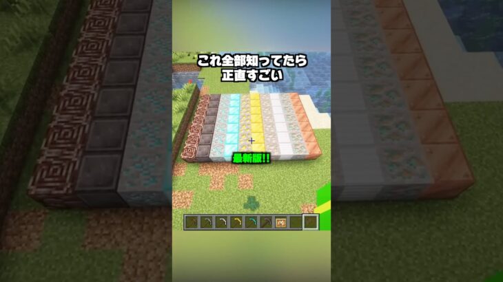 あなたは全部知ってた？【マイクラ】