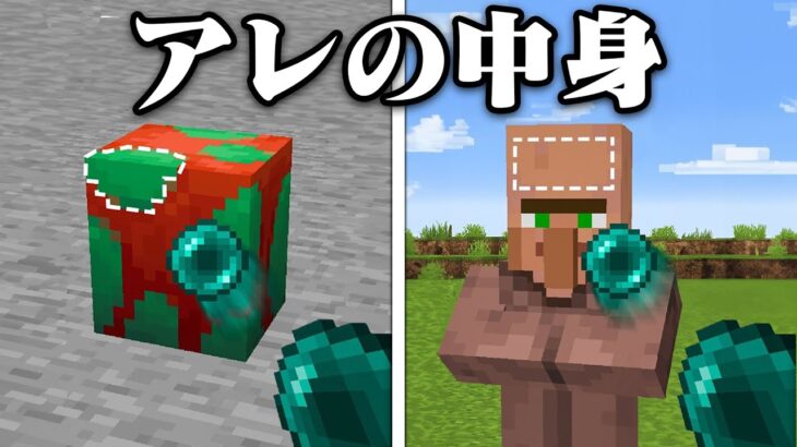 アレの中身が見れるマインクラフト【まいくら・マインクラフト】