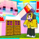 体に爆弾を埋め込まれた女の子を助けろ！！【まいくら / マインクラフト】