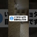 ショタに目覚めた理由wwww#マイクラ #shorts