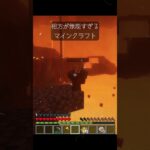 相方が無能すぎるマインクラフト（ネザー編） #youtubeshorts #minecraft