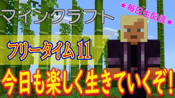 【参加型！初見さん大歓迎！マイクラ初心者！失踪せずに最後までプレイすることができるか？！】マインクラフト こつこつプレイ フリータイム11（生放送版）