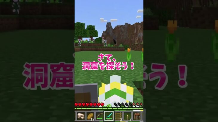 シン・マイクラサバイバル11！（洞窟探検）生き残り術大公開　Minecraft Survival Mode Tips #いるクラ #マイクラ