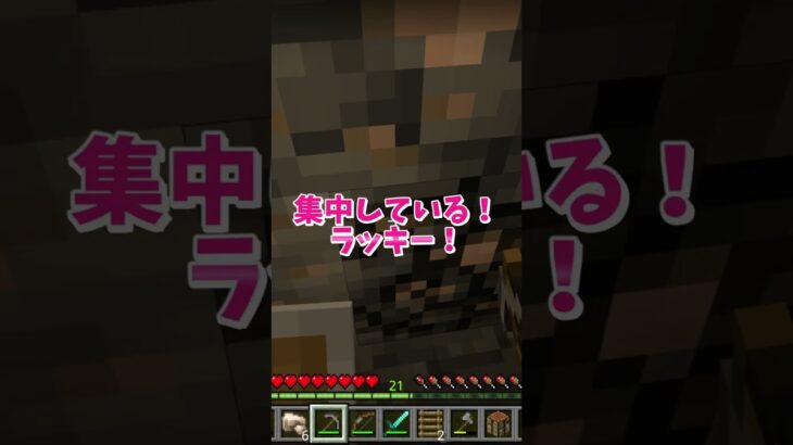 シン・マイクラサバイバル12！（洞窟探検）生き残り術大公開　Minecraft Survival Mode Tips #いるクラ #マイクラ #shorts