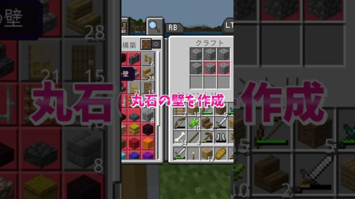 シン・マイクラサバイバル16！生き残り術大公開(家製作)　Minecraft Survival Mode Tips #いるクラ #マイクラ #shorts