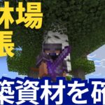 【マイクラ】建築動画をちらほら見てみたのですが、木材が足りない気がします（四捨五入すると60歳、還暦的なPS5版マインクラフト 1.21 トリッキートライアルアップデート その164）