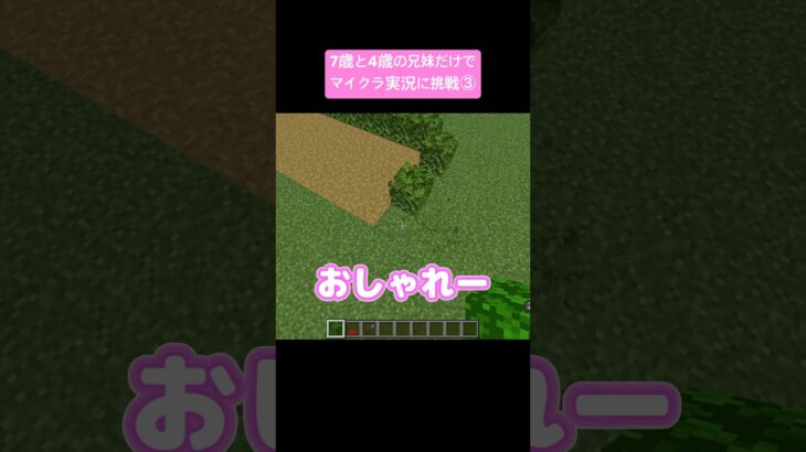 マイクラ実況）7歳と4歳の兄妹だ けでマイクラ実況してみたら、、ほのぼのすぎた☺️ #マインクラフト #minecraft #マイクラ建築 #マイクラ実況