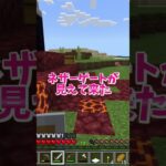 シン・マイクラサバイバル8！（ネザー探索）生き残り術大公開　Minecraft Survival Mode Tips  #いるクラ #マイクラ #shorts