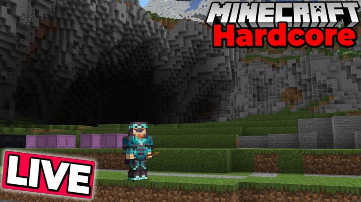 Building Custom Cliffs in my Hardcore Minecraft Forever World : 1.21.4 Survival let’s play