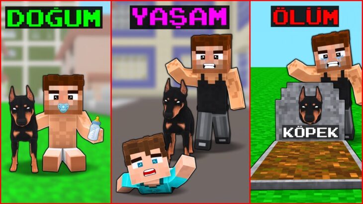 DOĞUMDAN ÖLÜME ALİ VE KÖPEĞİNİN HAYATI! 😱 -Minecraft