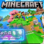 【MINECRAFT：マインクラフト】#33   エンチャントするぞ❣　#minecraft