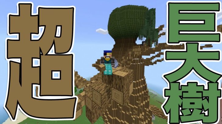 超巨大樹の建築を進めていくぞ！！！【マイクラ】鎖国国家MOARIの国のマインクラフト895日目 【Minecraft】【マインクラフト/Switch/遊び方】