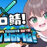 【 Minecraft 】新鯖きちゃ！マイハウス立てるぞ～！【ホロライブ/夏色まつり】