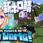 【Minecraft】新ホロ鯖についに上陸！冒険＆やりたいこと探す！ 【ホロライブ/アキ・ローゼンタール】