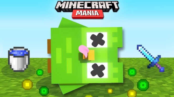 Minecraft Mania – DUOLINGO MURI0