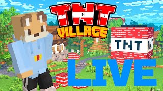 【Minecraftマインクラフト】TNT #shorts