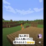 【Minecraft】始めたpart①