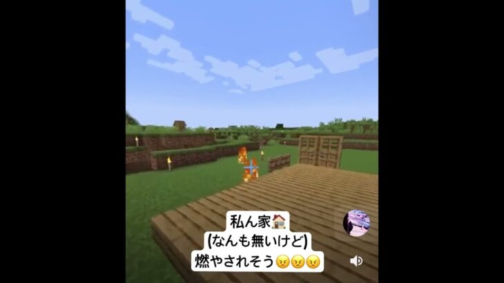 【Minecraft】始めたpart①