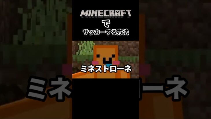 Minecraftでsoccerする方法#マイクラ