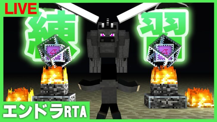 【マイクラ】ツール忘れないように練習：エンドラRTA【まぐにぃ】