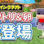 【マイクラ】ニワトリの亜種が新登場！サボテンの花・枯れ草が追加！スポーン場所・見た目・仕様など詳しく解説！【マインクラフト】SNAPSHOT 25W06A