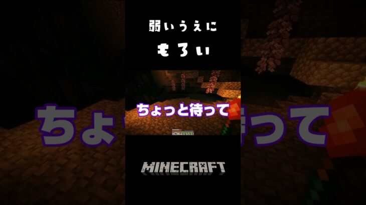 期待は連れな魔法の杖。強くあってほしかった《Short動画》『Minecraft：Adventurer’s Beyond』