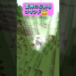これであなたも雷神トール！雷神になれるコマンド😇 #Shorts #マイクラ #マインクラフト #コマンド