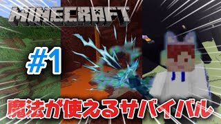 魔法が使えるサバイバル！#マインクラフト #マイクラ #fortnite #ロブロックス #魔法 #初音ミク #minecraft #重音テト #switch