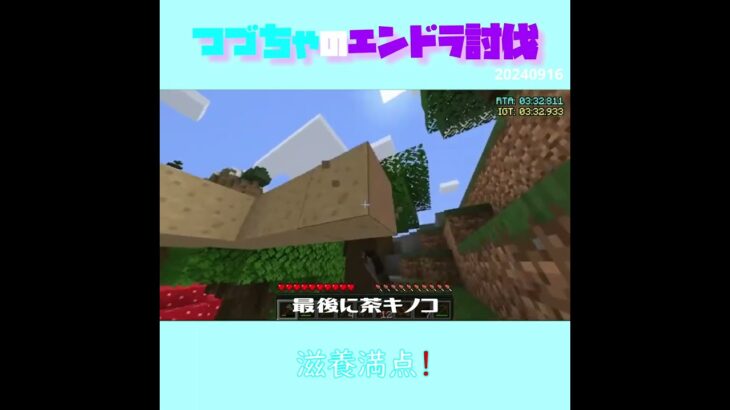 【マイクラ】滋養満点！　 fromつづちゃのエンドラ討伐！2024/09/16　#Minecraft　#Shorts　#rta