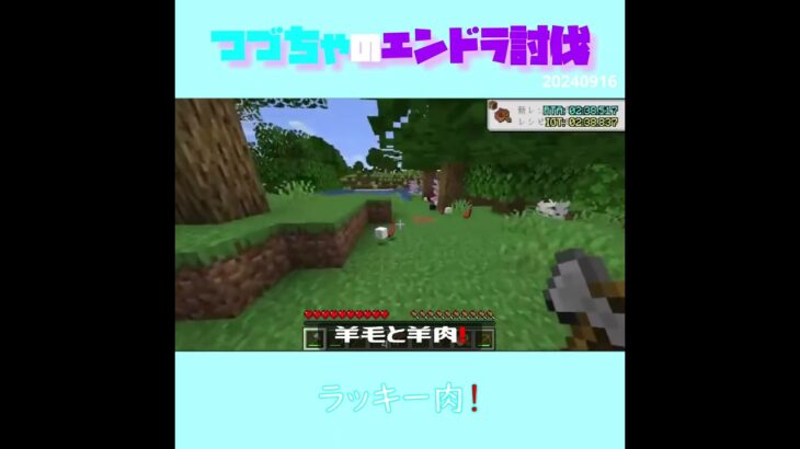 【マイクラ】ラッキー肉！　 fromつづちゃのエンドラ討伐！2024/09/16　#Minecraft　#Shorts　#rta