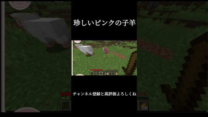 珍しいもの見つけた！！#マインクラフト #おすすめにのりたい #マイクラ #minecraft #光る家